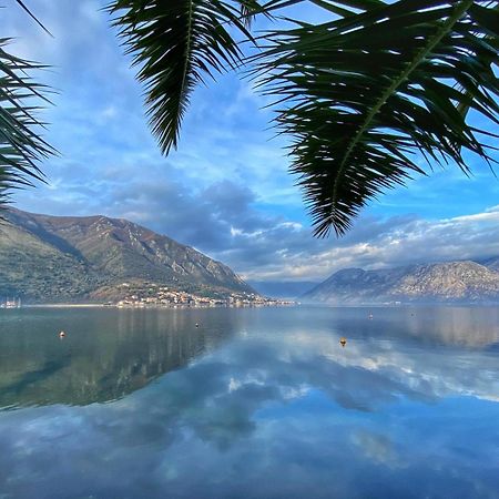 Sunny Bay Apartments Kotor Dış mekan fotoğraf