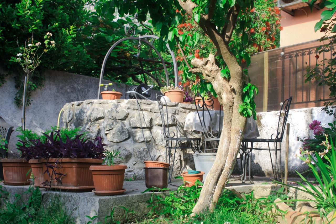 Sunny Bay Apartments Kotor Dış mekan fotoğraf