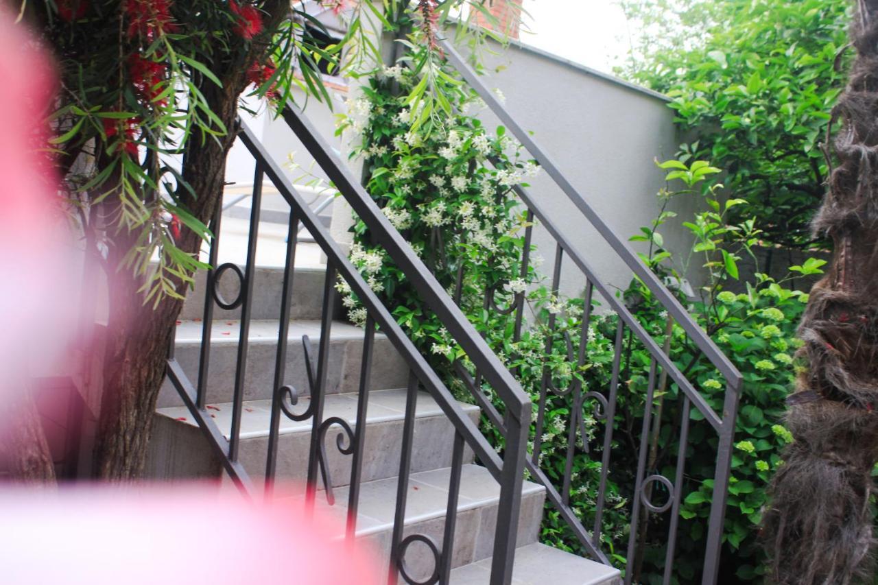 Sunny Bay Apartments Kotor Dış mekan fotoğraf