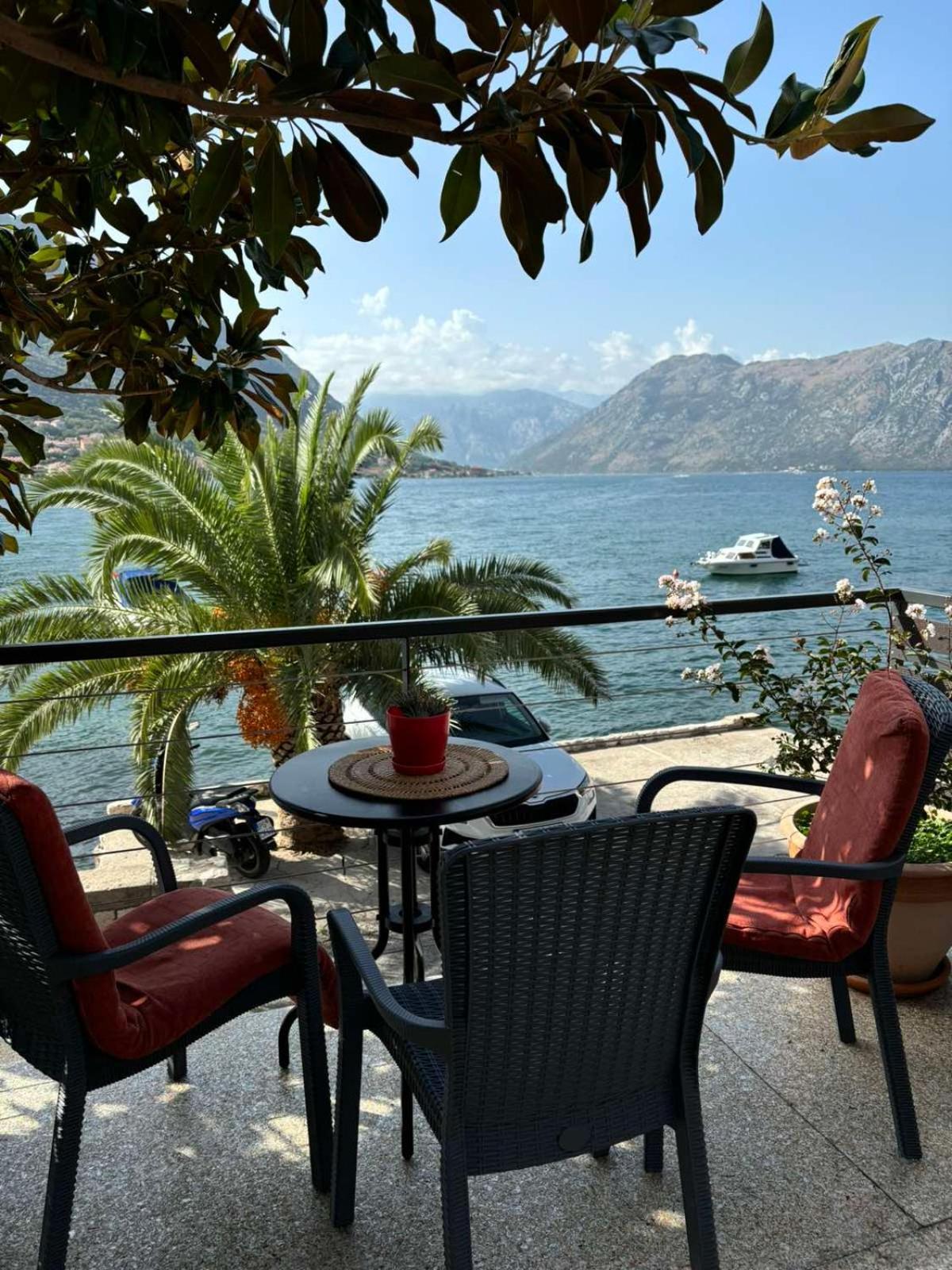 Sunny Bay Apartments Kotor Dış mekan fotoğraf